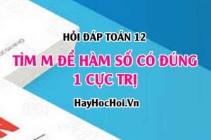 Tìm m để hàm số có đúng 1 cực trị, cực trị là cực tiểu, cực trị là cực đại? Toán lớp 12 - Hỏi đáp
